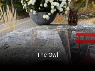 The Owl