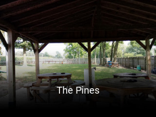 The Pines