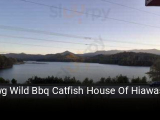 Hawg Wild Bbq Catfish House Of Hiawassee