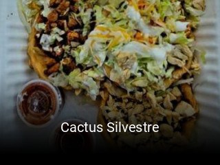 Cactus Silvestre