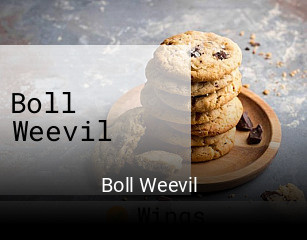 Boll Weevil