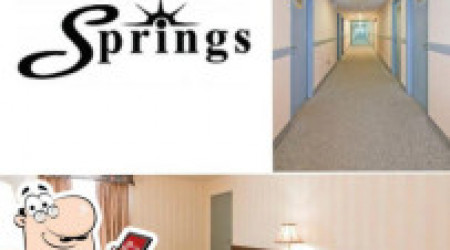 Springs Motor Inn