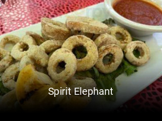 Spirit Elephant