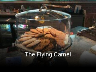 The Flying Camel