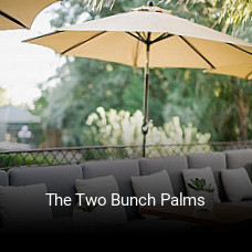 The Two Bunch Palms