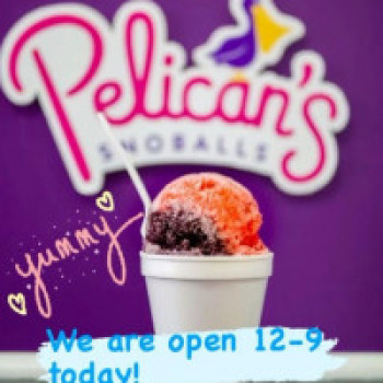 Pelican's Snoballs Grovetown