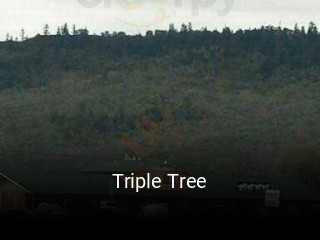 Triple Tree