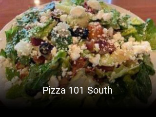 Pizza 101 South