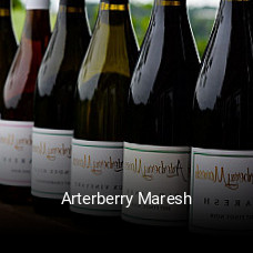 Arterberry Maresh