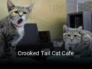 Crooked Tail Cat Cafe