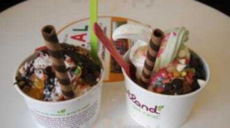 Yogurtland