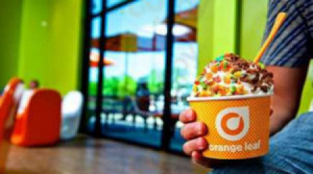 Orange Leaf Frozen Yogurt