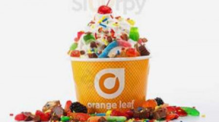 Orange Leaf Frozen Yogurt