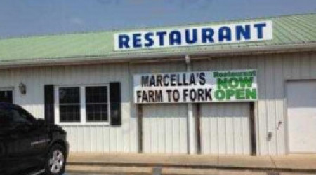 Marcellas Farm To Fork