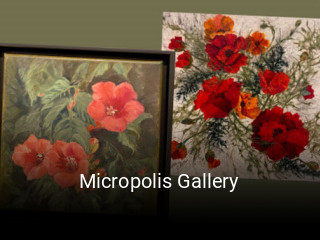 Micropolis Gallery