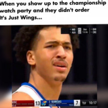 It's Just Wings